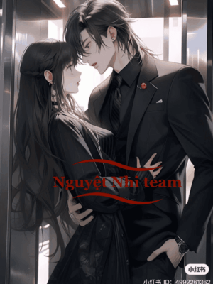 Ảnh bìa của Nhầm Lẫn Lên Duyên