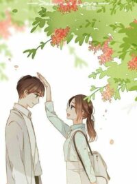 Ảnh bìa của Chị Ơi, Em Xin Lỗi, Em Sai Rồi