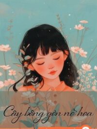 Ảnh bìa của Cây Bông Gòn Nở Hoa