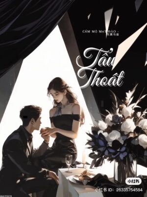 Ảnh bìa của Tẩu Thoát