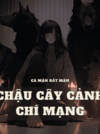 Ảnh bìa của Chậu Cây Cảnh Chí Mạng