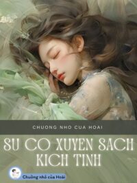Ảnh bìa của Sự Cố Xuyên Sách Kịch Tính