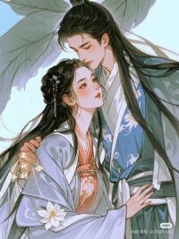 Ảnh bìa của Liễu Ly