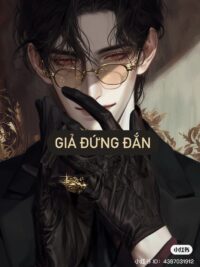 Ảnh bìa của Giả Đứng Đắn