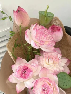 Ảnh bìa của Lưu Nguyệt Báo Thù Trong Bóng Tối