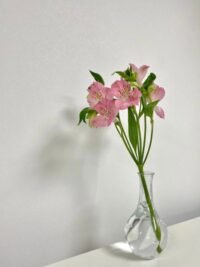 Ảnh bìa của Đi Ngang Qua Đời Anh