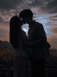 Ảnh bìa của Tình Yêu Dừng Lại