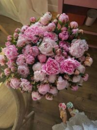 Ảnh bìa của Âm Dương Cách Biệt