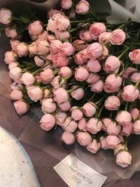 Ảnh bìa của 8 Năm Không Thấu Hiểu