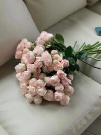 Ảnh bìa của Sống Lại Lần Nữa Anh Chọn Không Chung Sống Cùng Tôi Nữa
