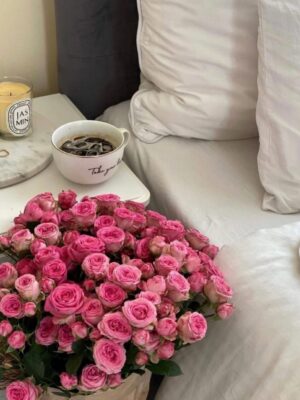 Ảnh bìa của Lời Ly Hôn Muộn Màng