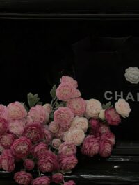 Ảnh bìa của Ngủ Dậy Tình Yêu Tới
