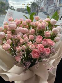 Ảnh bìa của Tôi Chọn Vinh Hoa Phú Quý