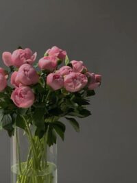 Ảnh bìa của Anh Ơi Em Không Cưới Nữa