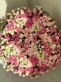 Ảnh bìa của Thứ Tôi Cần Là Tiền