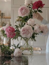 Ảnh bìa của Tình Yêu 10 Năm Bỗng Hoá Người Dưng