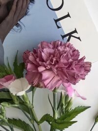 Ảnh bìa của Chỉ Muốn Bên Em – Full