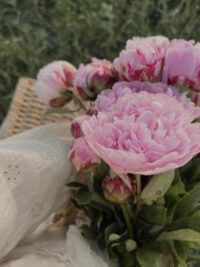Ảnh bìa của Giọng Khóc To