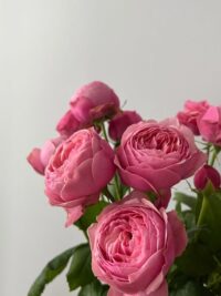 Ảnh bìa của 5 Năm Thầm Thương Trộm Nhớ Em