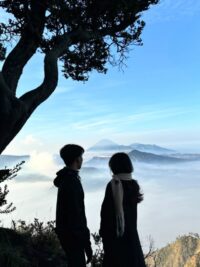 Ảnh bìa của Mười Năm Tình Cảm Hoá Hư Vô