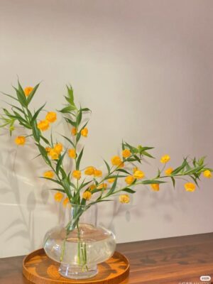 Ảnh bìa của Cuộc Đời Của Uyên Uyên