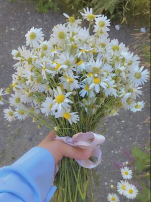 Ảnh bìa của Giả Vờ Buông Bỏ Để Dẫn Dụ