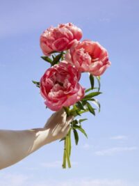 Ảnh bìa của Tình Yêu Đong Đầy