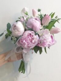 Ảnh bìa của Từ Thanh Nguyệt
