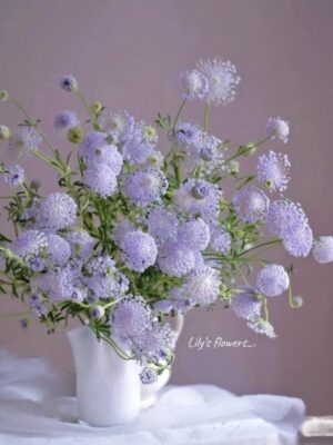 Ảnh bìa của Trọng Sinh Trở Lại Tôi Tránh Xa Đàn Ông