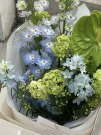 Ảnh bìa của 3 Tuổi Đi Làm Bảo Kê Cùng Anh Trai