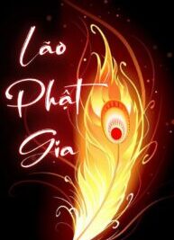 Ảnh bìa của Hoàn                    
                    
						Song Phượng Hoàng