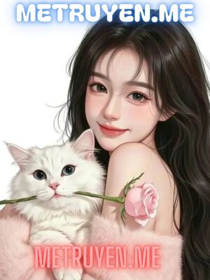 Ảnh bìa của Full                    
                    
						Tùng Lam