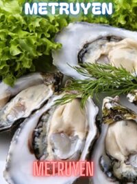 Ảnh bìa của Full                    
                    
						Đừng Ăn Hàu