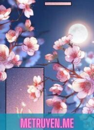 Ảnh bìa của Full                    
                    
						Dĩ Chi Thanh Thu