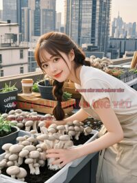 Ảnh bìa của Kiến Thủ Thanh – Nấm Của Ký Ức