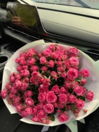 Ảnh bìa của Vĩnh Viễn Rời Xa Anh Full