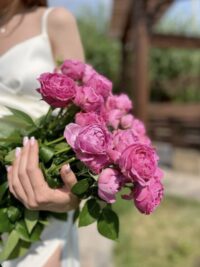 Ảnh bìa của Chuỗi Phật Châu Của Thái Tử Gia